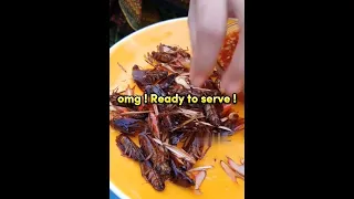 炸蟑螂 ？泰國小吃  Fried Cockroach as a snack in Thailand ? I really can't believe it.