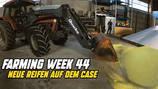 Farming Week #44 | Neue Reifen auf dem alten Case