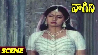 Sridevi Introduction Scene || Naagini Telugu Movie || Rishi Kapoor, Sri Devi