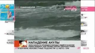 Администрация Приморского края ловит акулу