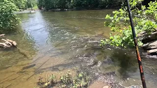 Casting For Smallmouth Bass In The Potomac River