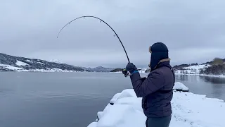 Рыбалка в глухозимье 2024 Норвегия! Не ЖОР, но с рыбой!