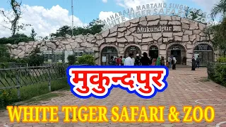 MUKUNDPUR, WHITE TIGER SAFARI. मुकुंदपुर व्हाइट टाइगर सफारी।