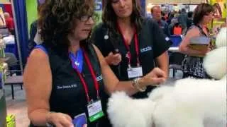 Diane Betelak Demo on Setting a Poodle's Tail