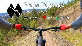 Brain Damage - Beacon Hill - Spokane, WA