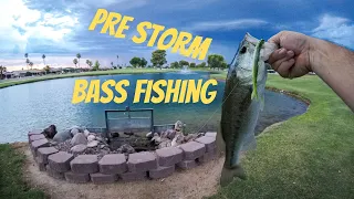 Pond FISHING for BASS before a STORM | BANJO MINNOW Strikes Again!