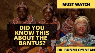 Did You Know this About The Bantus? | Sankofa Pan Africa | African History Series