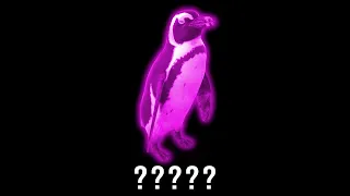 15 Penguin "Gal" Sound Variations in 35 Seconds | MODIFY EVERYTHING
