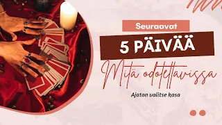 Seuraavat viisi päivää...🔮✨️💞🌱 #tarot #elämä #rakkaus #henkisyys #ennustus #tietoisuus #oraclecards