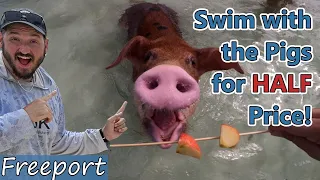 Save money on shore excursions Freeport Bahamas || swim with pigs || Magaritaville at Sea Paradise