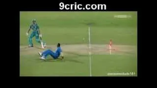 Funniest Run-Out in Cricket History By Kieron Pollard !