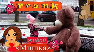 МЕДВЕДЬ ПИКАПЕР (ЖИВОЙ МИШКА ЛАПАЕТ ПРОХОЖИХ)