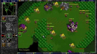 Warcraft 2 13.3.2024