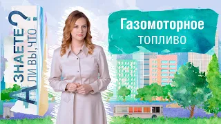 Газомоторное топливо. О гоночном грузовике, чистом воздухе и запасах топлива