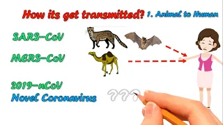 What is Coronavirus || 2019 Novel Coronavirus || COVID-19 || Easy understanding of COVID 19