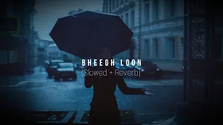 Bheegh Loon | Slowed Reverb | Ankit Tiwari