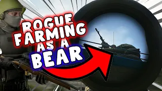 How I FARM The Rogues As A Bear - Escape From Tarkov