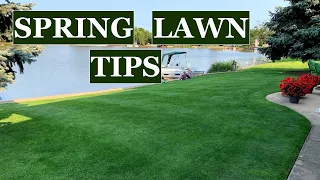 Don't make these 3 MISTAKES // Spring lawn care