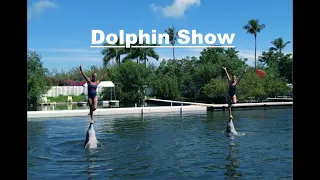 Dolphin Show 🐬 Theater Of The Sea 🐬 Islamorada 🐬 Florida 🐬 USA 🇺🇸