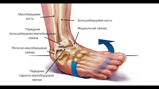 КАК БЫСТРО ВОССТАНОВИТЬ ГОЛЕНОСТОП ПОСЛЕ ТРАВМЫ