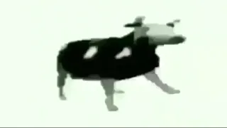 ♫ Polish Cow ♪ [accelerated] [speed up] (tylko jedno w głowie mam)