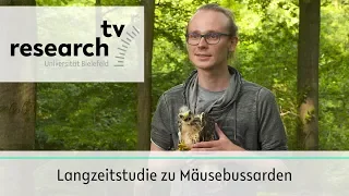 Langzeitstudie Mäusebussarde - research_tv Universität Bielefeld