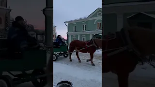 Однажды в студеную зимнюю пору… в Оптиной Пустыни лошадка, везущая воз