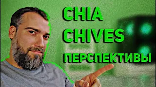 Chia, chives. Обновления и возможные перспективы. Сравнение chia и chives с другими монетами.