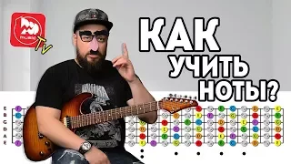 Ноты на гитаре. Легкий способ запомнить ноты на грифе