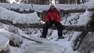 Я не ожидал увидеть СТОЛЬКО РЫБЫ В ТАЕЖНОЙ МИКРО РЕЧКЕ  Вся рыба в одном омуте!