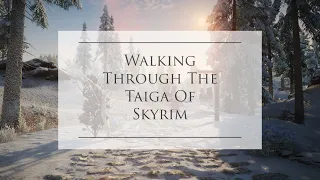 Walking Through The Taiga Of Skyrim “With Mods” : Music & Ambiance