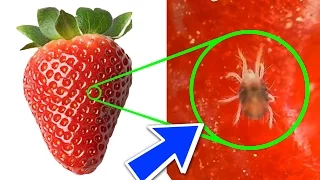 YOU WILL NEVER EAT STRAWBERRIES AGAIN AFTER WATCHING THIS !! - EXPERIMENT AT HOME