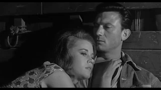 Laurence Harvey & Jane Fonda in "Walk on the wild side" (1962)