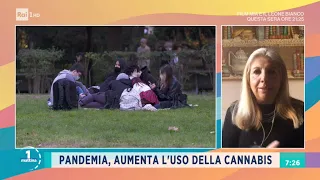 Pandemia: più consumo di droga tra i giovani - Unomattina 24/03/2021