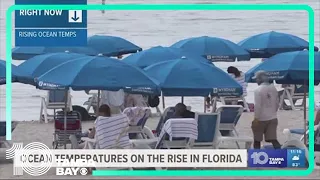 Florida in hot water as ocean temperatures rise along with the humidity