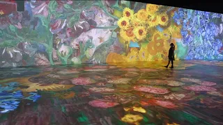 Hidden Gem: The Wisconsin Center hosts immersive Van Gogh exhibit