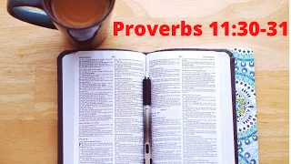 Bible Verse of the Day - Proverbs 11:30-31