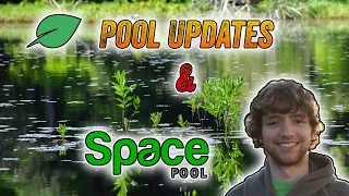 Chia Pool Updates & How to connect to Space Pool