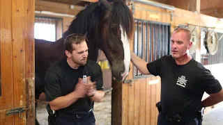 KCPD Lip Sync Challenge