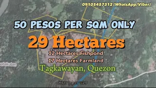 V19FL| 29 Hectares Farm and Fishpond/ 50 per Sqm. W/ Zoning Permit. Tagkawayan, Quezon