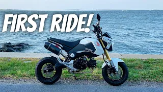 First “Real” Ride On My New Grom! What’re My Plans?