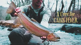 A Cure for Cabin Fever | Fly Fishing North Georgia