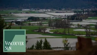 City of Abbotsford flood and weather update, record rainfall reported | Vancouver Sun