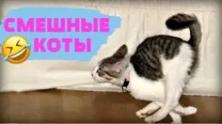 Я РЖАЛ ЦЕЛЫЙ ЧАС😹КОШКИ 2021 ЛУЧШИЕ ПРИКОЛЫ / СМЕШНЫЕ ЖИВОТНЫЕ ЗА ВЕСЬ ЯНВАРЬ 2021😹 ТЕСТ НА ПСИХИКУ