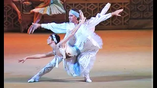 Natalia Osipova & Skvortsov - Le Corsaire - Pas des Eventails PDD