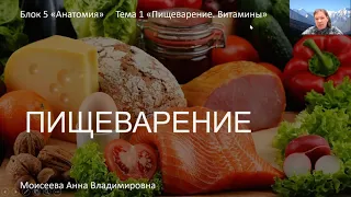 Анатомия - 5 Тема 1 "Пищеварительная система"