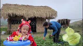 Yen Nhi and her mother harvested the vegetable garden on a happy and peaceful day