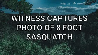 WITNESS CAPTURES PHOTO OF 8 FOOT TALL SASQUATCH