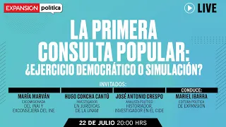 La primer consulta ciudadana:  ¿estímulo a la participación o decepción de un mecanismo?