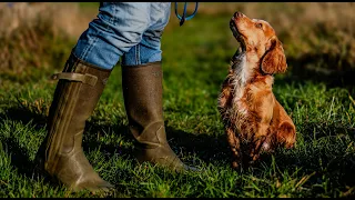 Waffle Early Retrieving